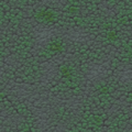 WaldTexture.png